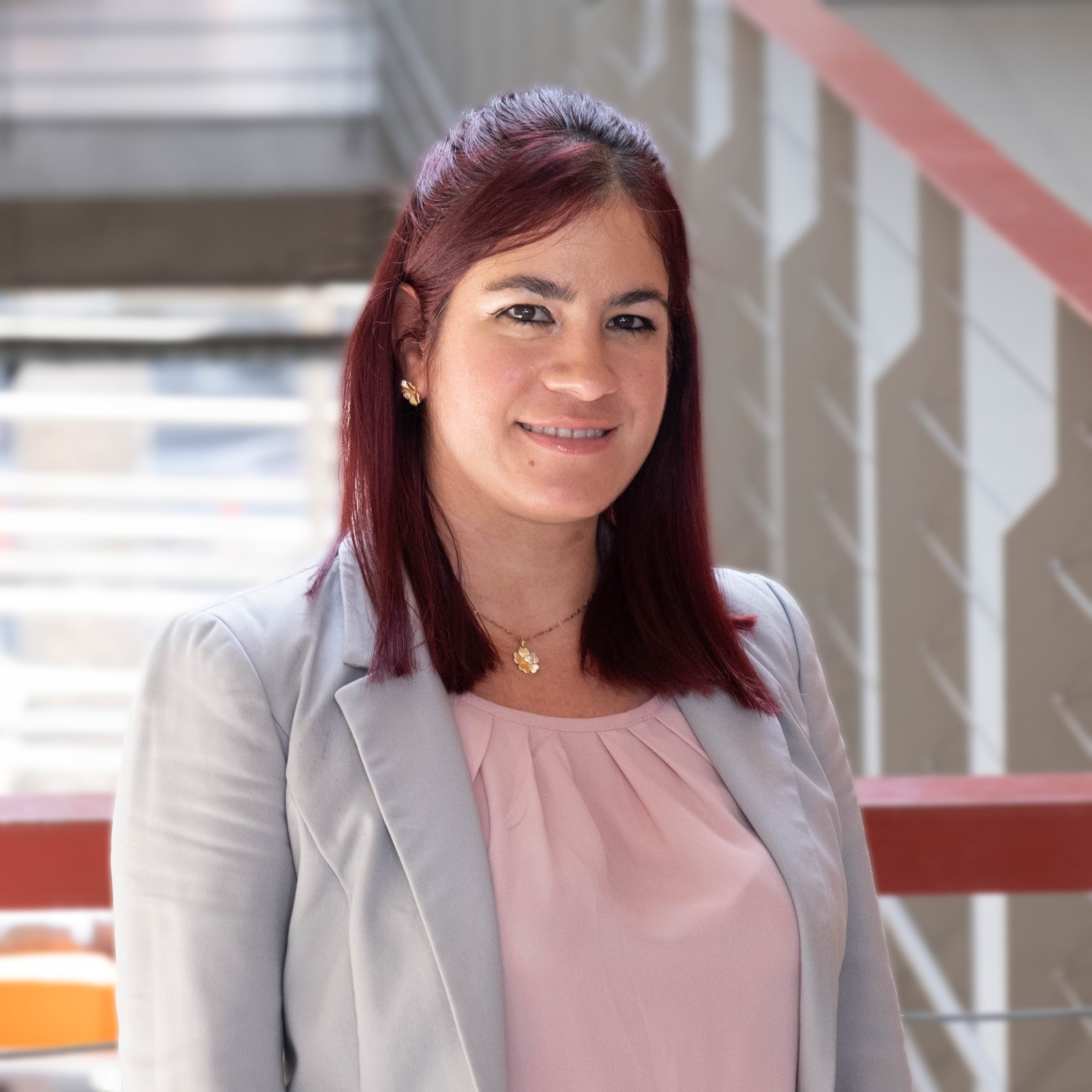 Suleivys Nuñez González